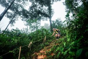 BIB: 
                            <button type="button" onclick="openModal(26202794)" class="btn btn-primary btn-sm float-right btn-popup" data-toggle="modal" data-target=".modal-high-quality">
                        <i class="fas fa-shopping-cart"></i> Add to Cart
                    </button>
                                            <button type="button" onclick="isThisMe(26202794, true)" class="btn btn-success btn-sm float-right btn-popup btn-isme hidden" data-toggle="tooltip" data-placement="bottom" title="นี่คือรูปของคุณใช่ไหม คลิกที่นี่เพื่อเอาเข้าอัลบั้ม">
                        <i class="fas fa-plus"></i> Add to album
                    </button>
                    <button type="button" onclick="isThisMe(26202794, false)" class="btn btn-warning btn-sm float-right btn-popup btn-isnotme hidden">
                        <i class="fas fa-ban"></i> Remove from album
                    </button>